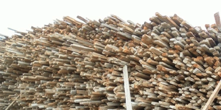 wood raw material